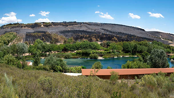incendio bardenas sendaviva animales3
