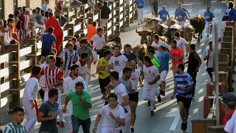 Encierro en Tudela J.A.Martinez Matamoros