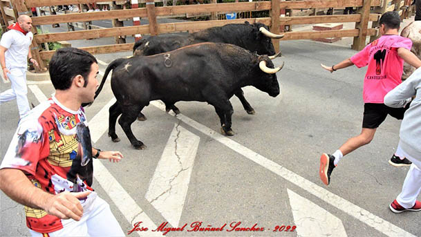 encierro 29julio2