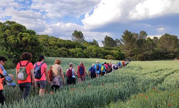 Paseos saludables AECC