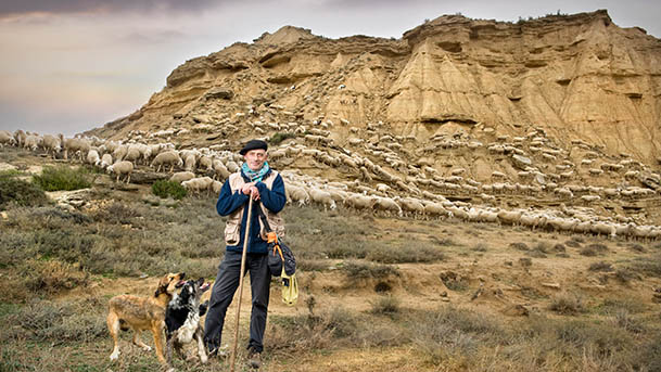 reyno gourmet cordero navarra3