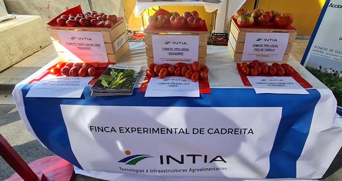 Intia en el Día del Tomate de Cadreita 2022
