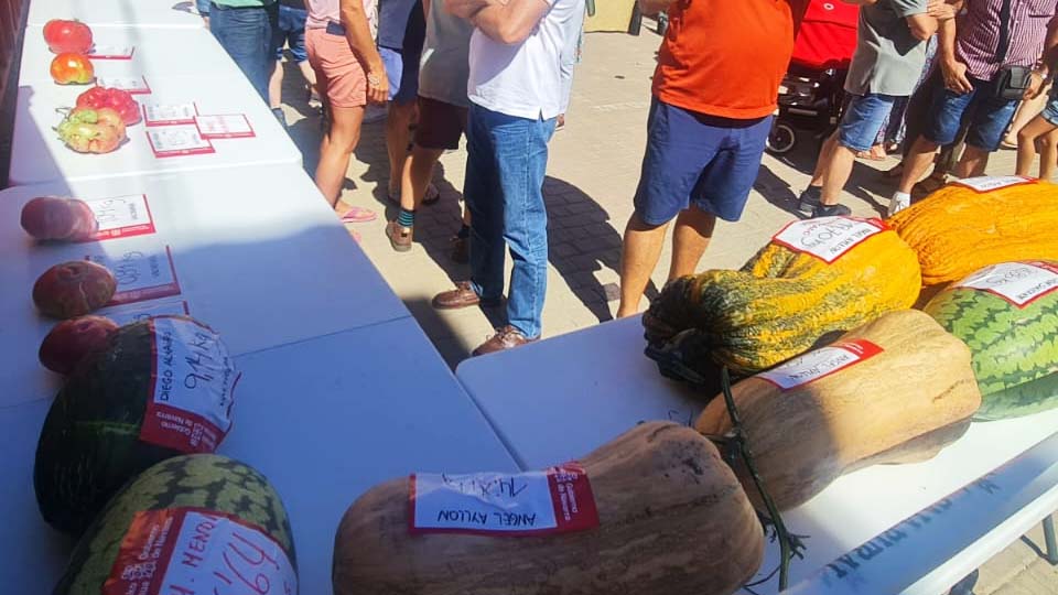 Hortalizas gigantes feria valtiera 2022