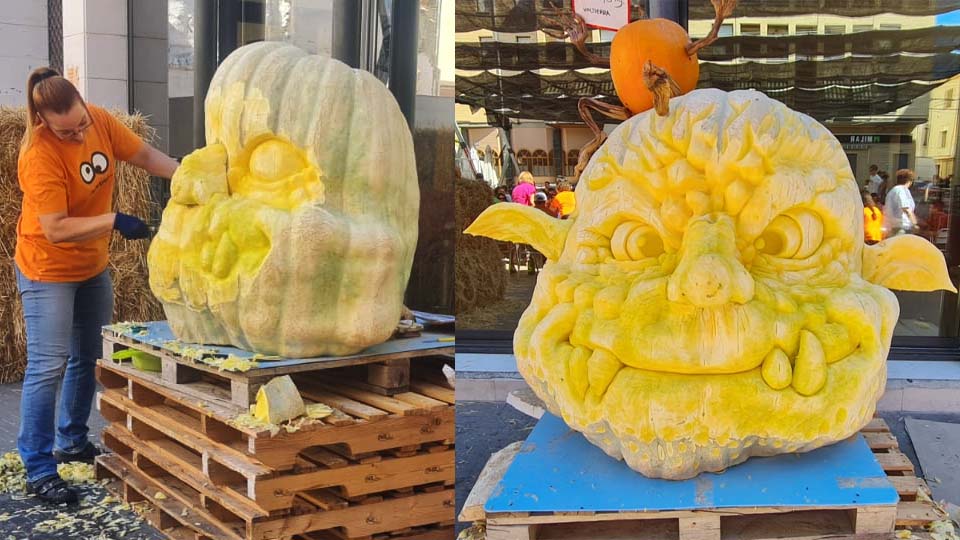 Esculpiendo calabaza gigante Valtierra 2022