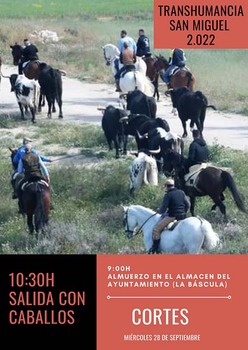 trashumancia san miguel