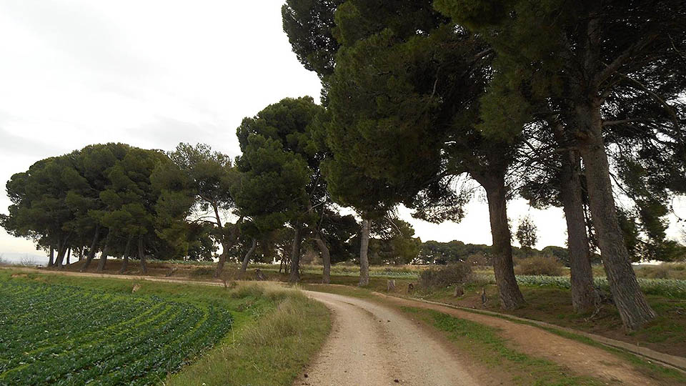 rutas btt tudela primera2