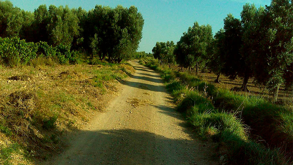 rutas btt tudela segunda2