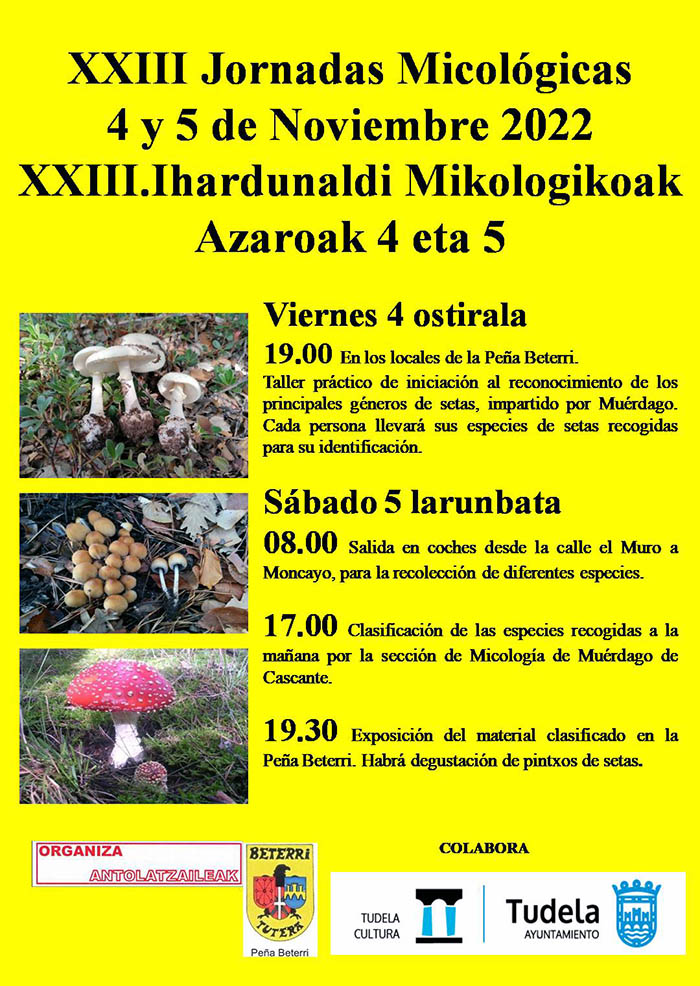 Cartel jornadas micológicas de Beterri 2022