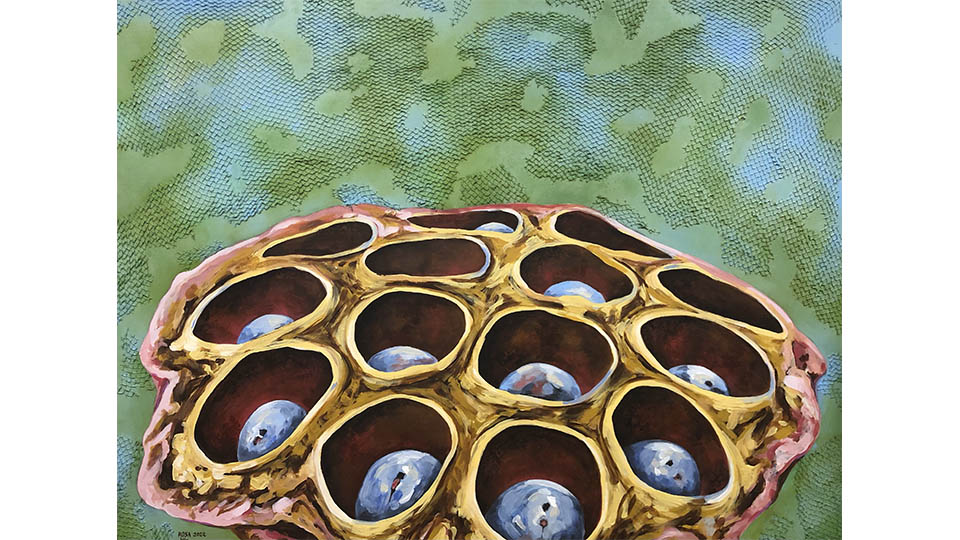 rosa trejo exposicion ies valle ebro3