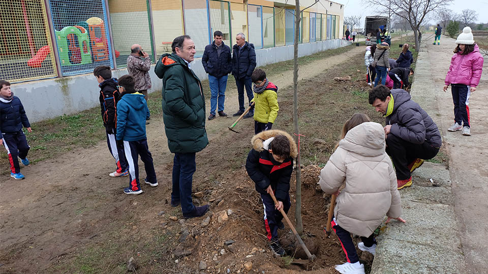 tarazona plantacion arboles5