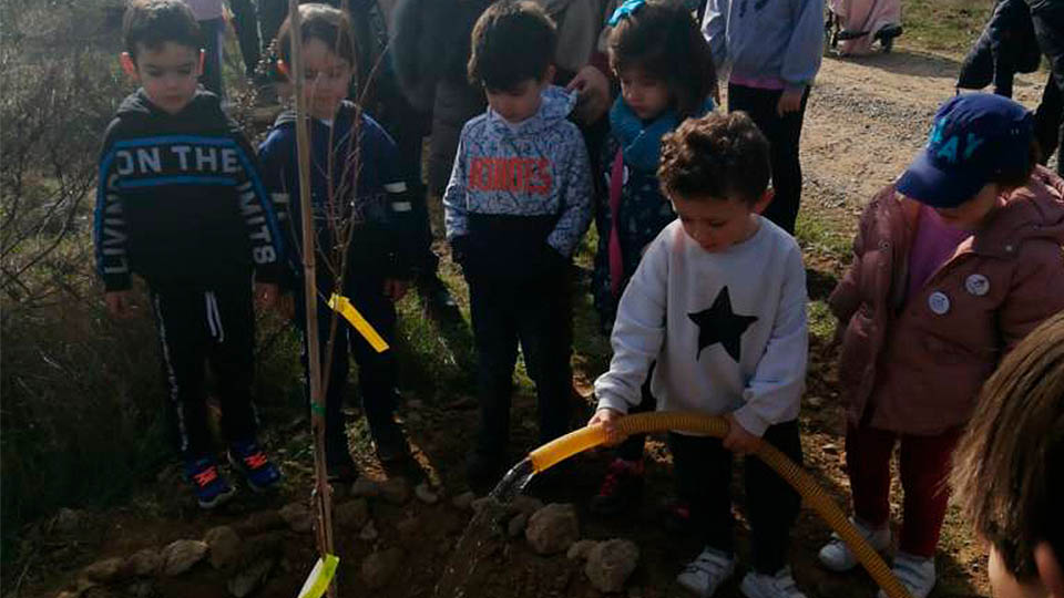 corella plantacion arboles2