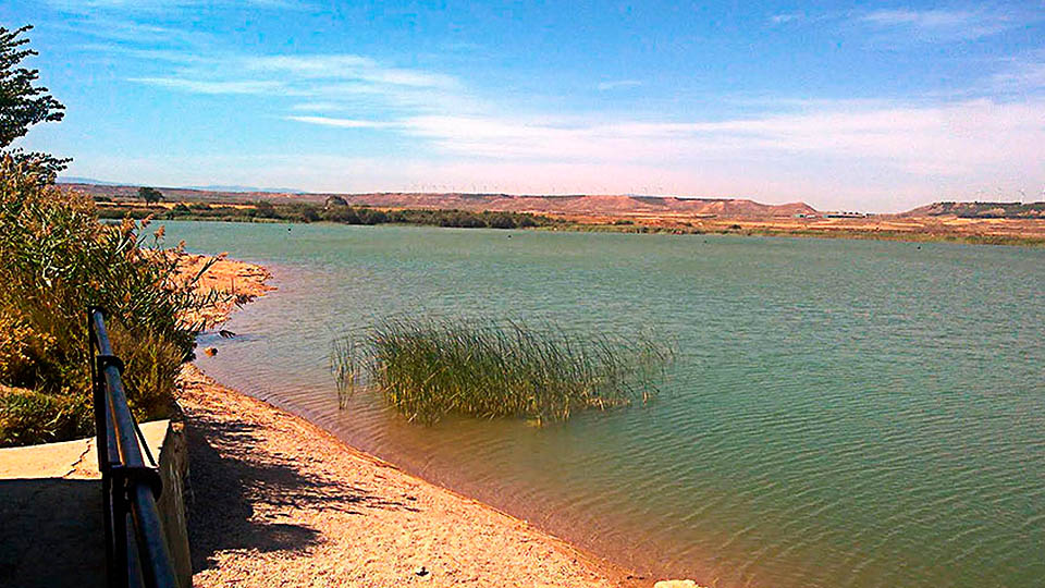murchante balsa el pulguer