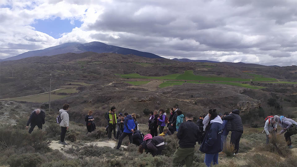 agreda restos jurasicos3