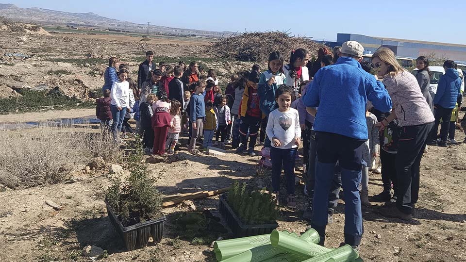Plantación de árboles en la antigua escombrera de Cortes (3)