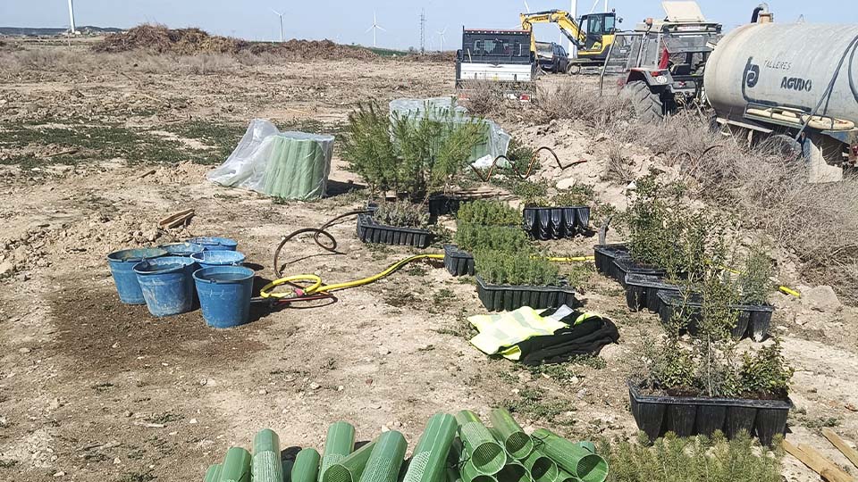 Plantación de árboles en la antigua escombrera de Cortes (4)