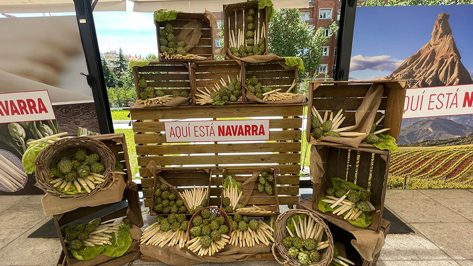 navarra esparrago alcachofa madrid2
