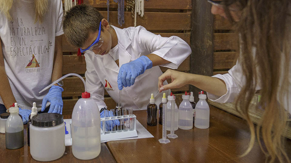 sendaviva campamentos urbanos2