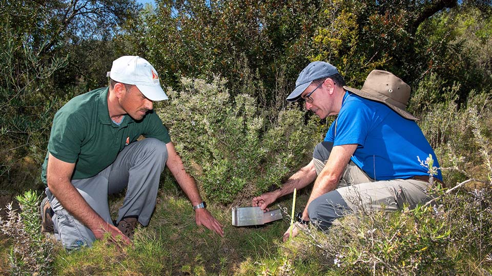 sendaviva proyecto especias autoctonas silvestres (2)