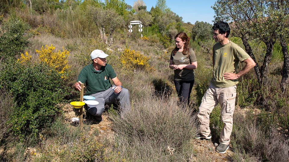 sendaviva proyecto especias autoctonas silvestres (3)