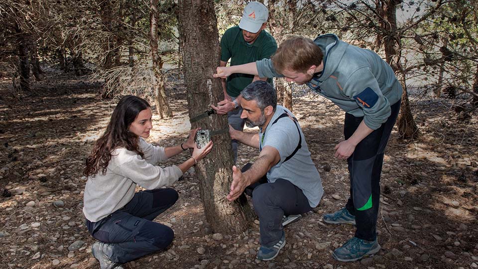 sendaviva proyecto especias autoctonas silvestres (5)