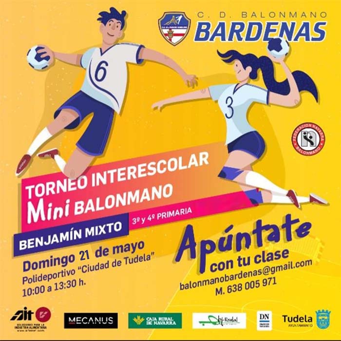 Torneo interescolar balonmano Bardenas