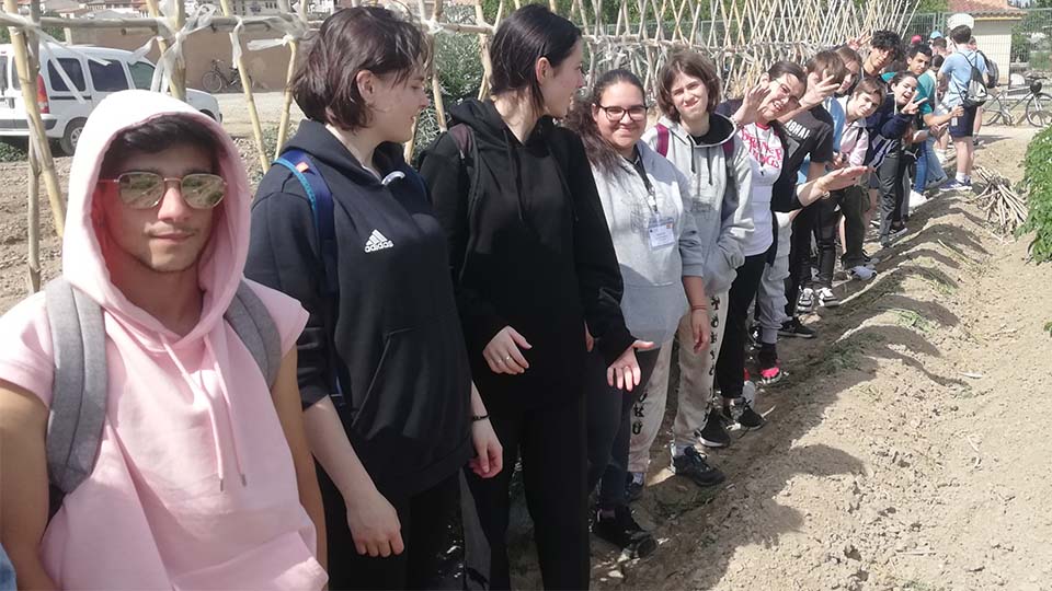 corella proyecto internacional erasmus (3)