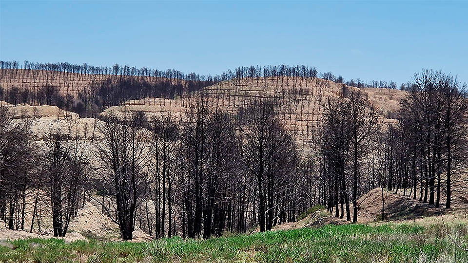 incendio arguedas un año despues2