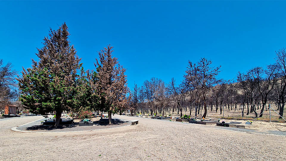 incendio valtierra un año despues4