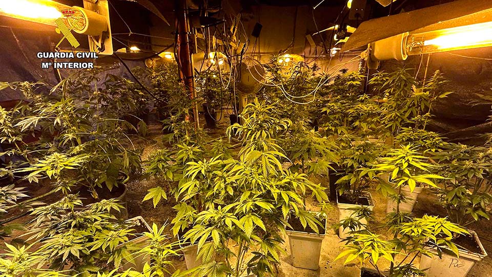 Plantilla Portada Tudelahoy_0000_Op_Garza (5)