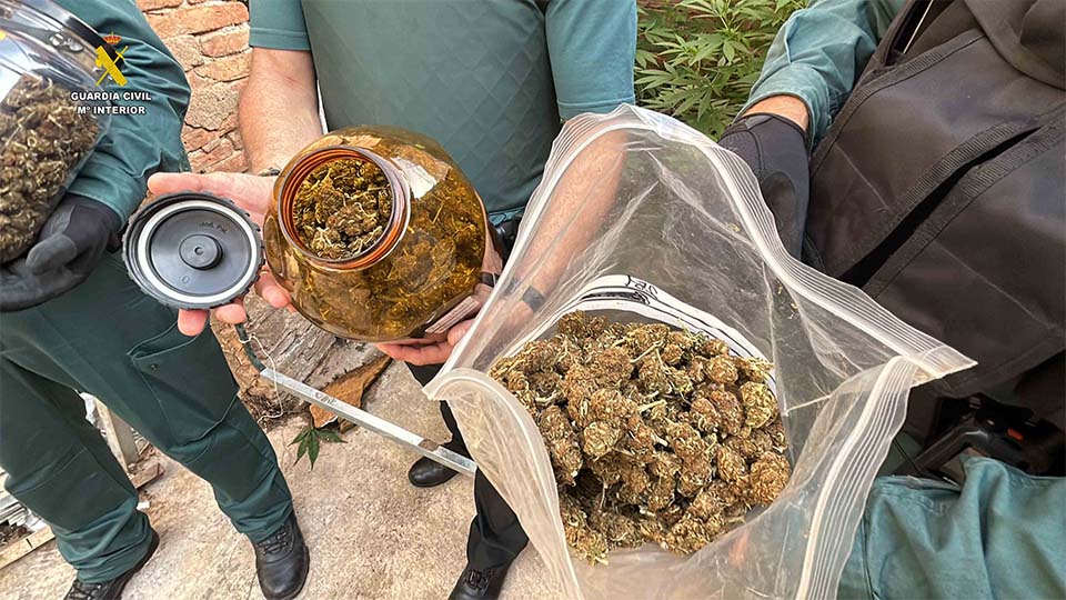 Plantilla Portada Tudelahoy_0002_Op_Garza (6)