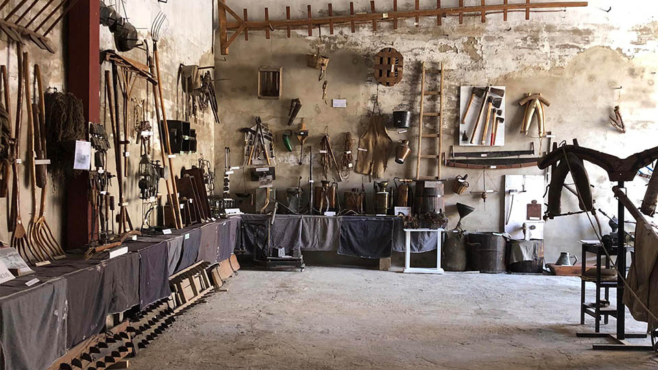 corella mes movilidad3