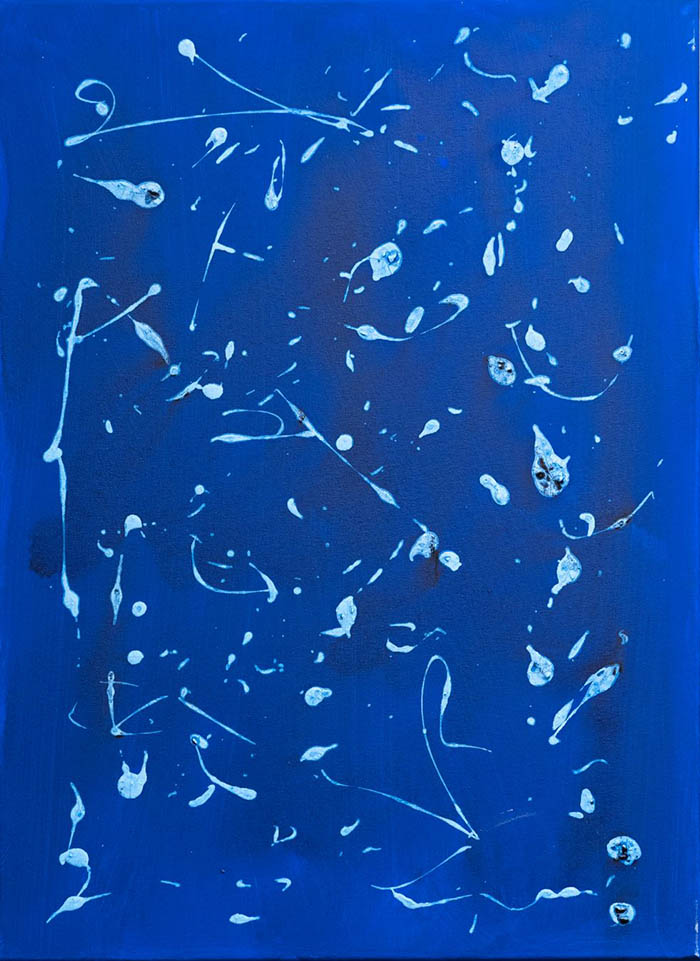 exposicion uned merche blasco2