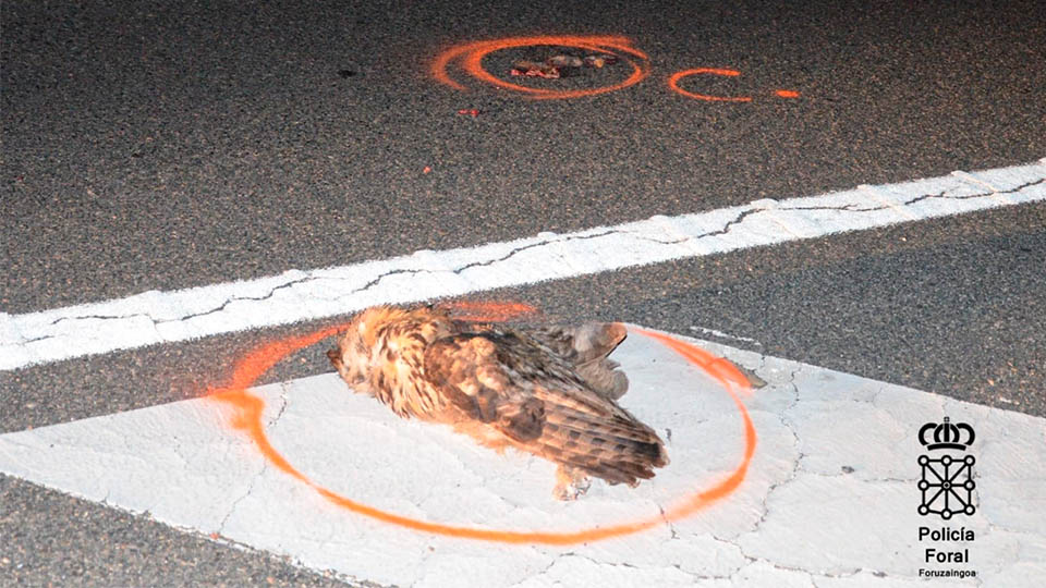 castejon accidente motorista buho2