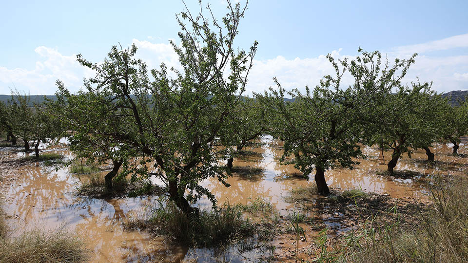 granizo cintruenigo corella fitero4