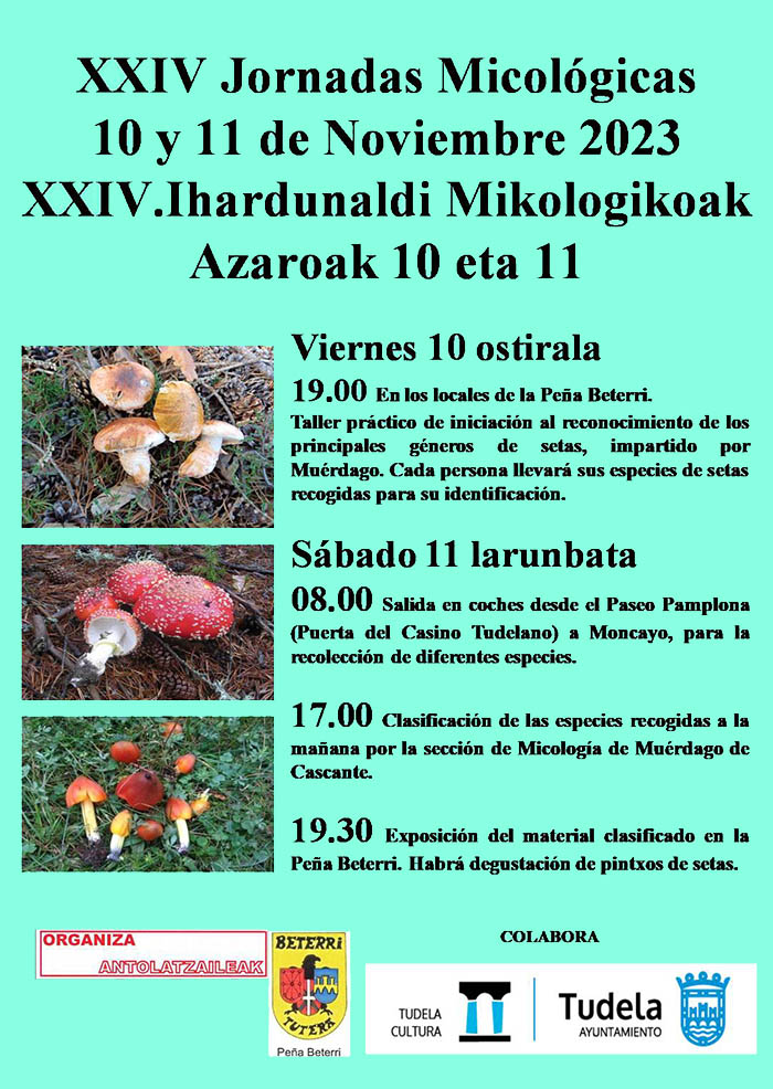 Cartel jornadas micológicas de Beterri 2023