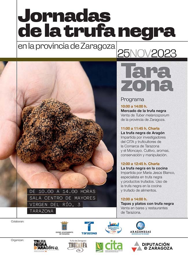 Cartel Jornadas de la trufa negra en Tarazona 2023