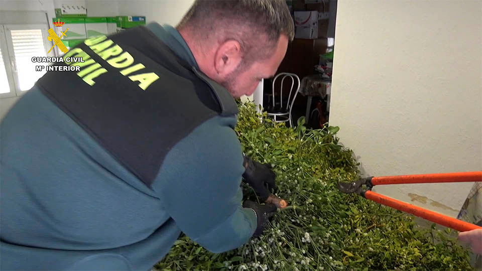 muérdago incautado entre zaragoza y tudela2