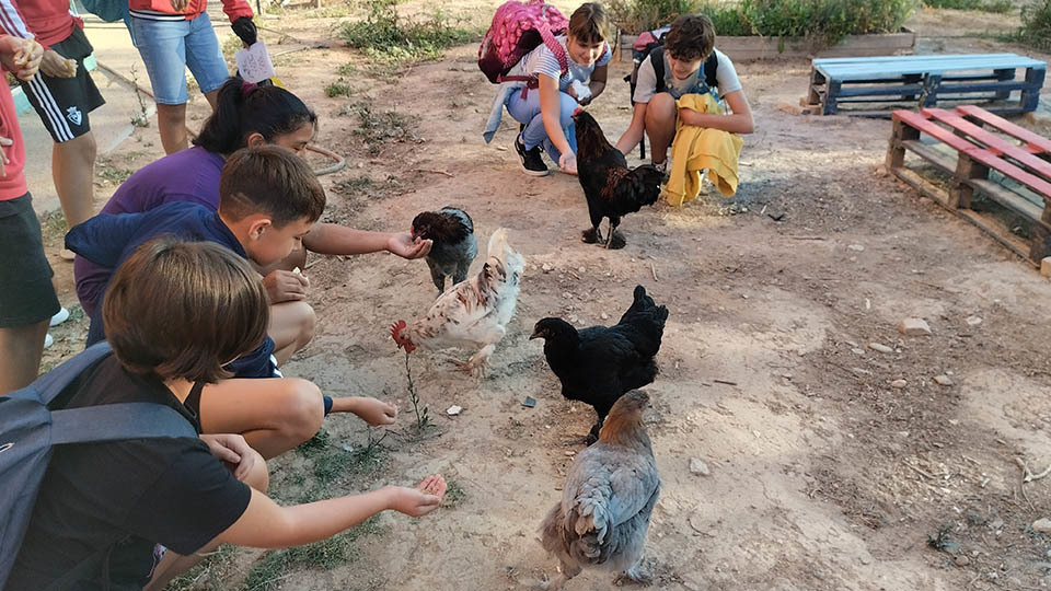 ies valle del ebro naturocio2