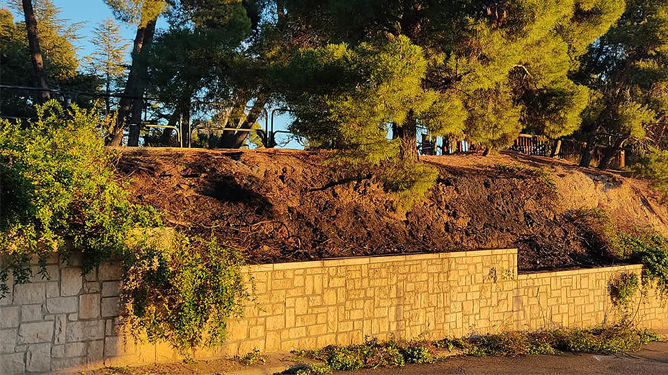 cascante incedio parque del romero2