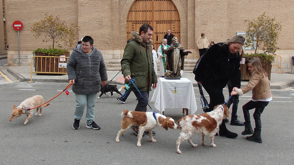 murchante san anton4