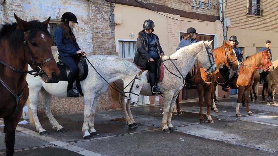 Procesión de las monturas hasta el pilar de San Antón en Tarazona