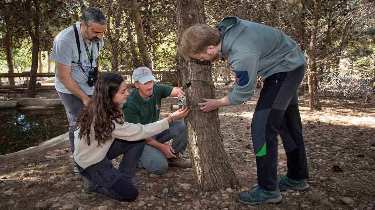 sendaviva proecto zoonagreen3