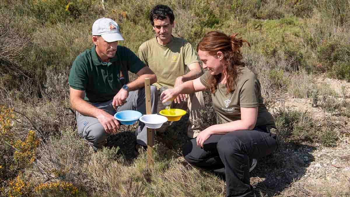 sendaviva proecto zoonagreen5