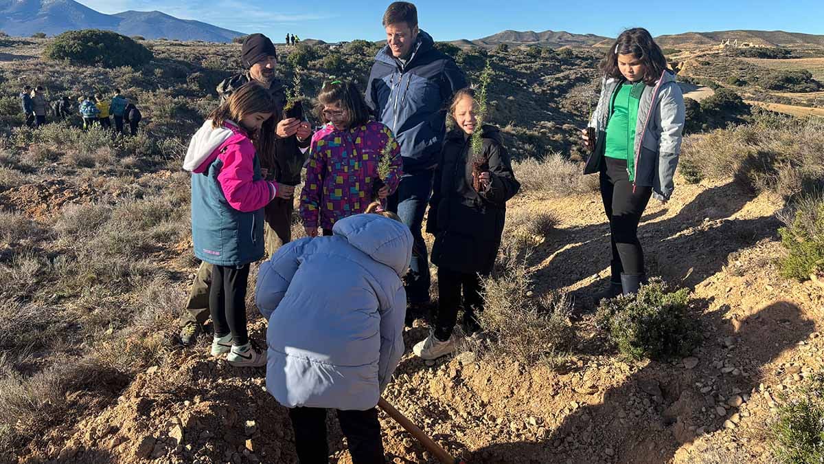 tarazaona reforestacion monte escolares