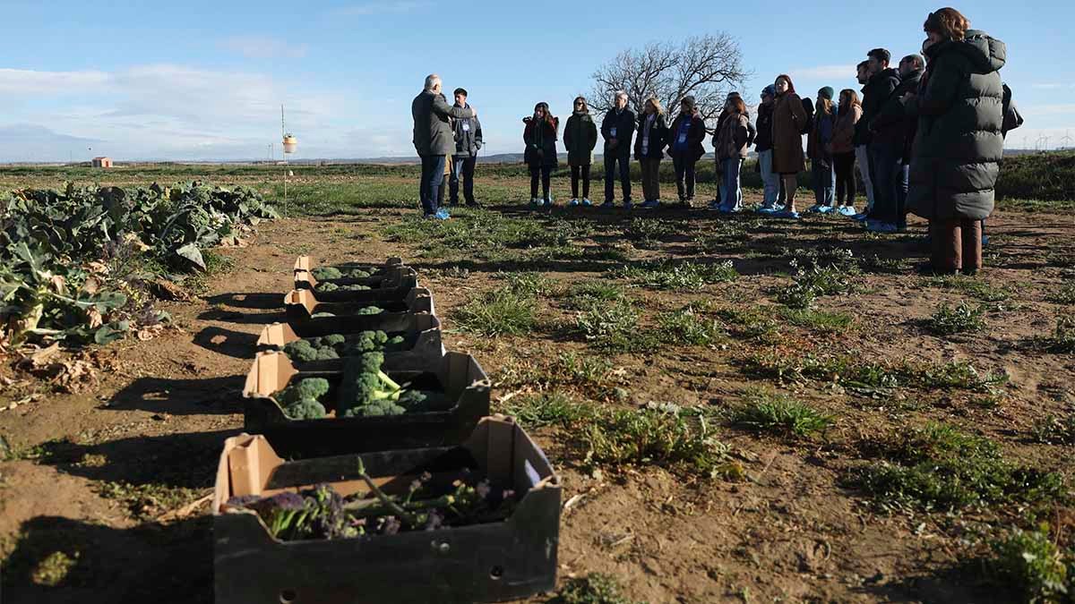 aierdi cadreita proyecto stratus2