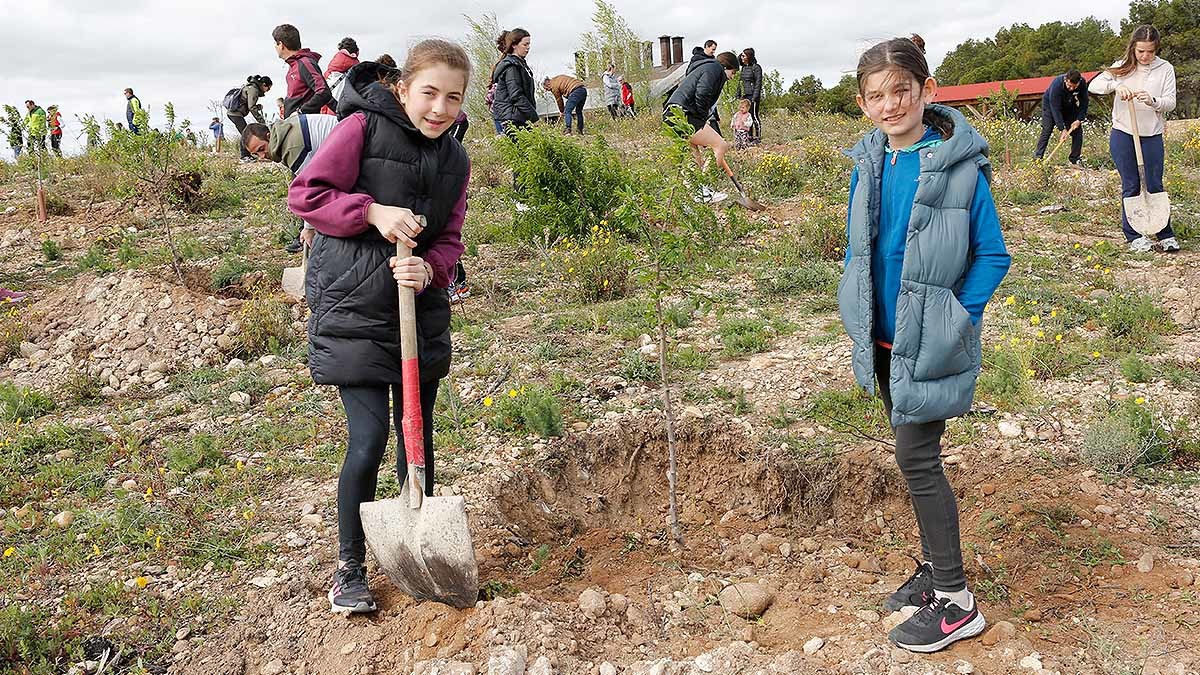 arguedas plantacion dia del arbol2