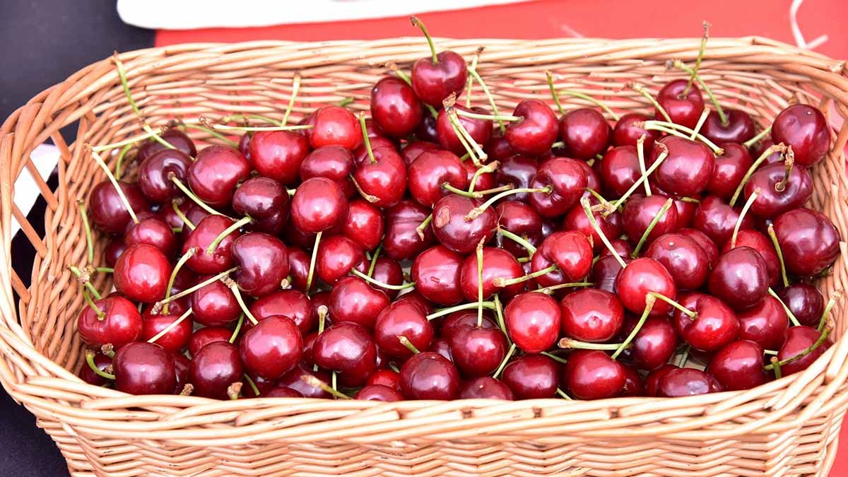 25 años de la Fiesta de la Cereza de Milagro6