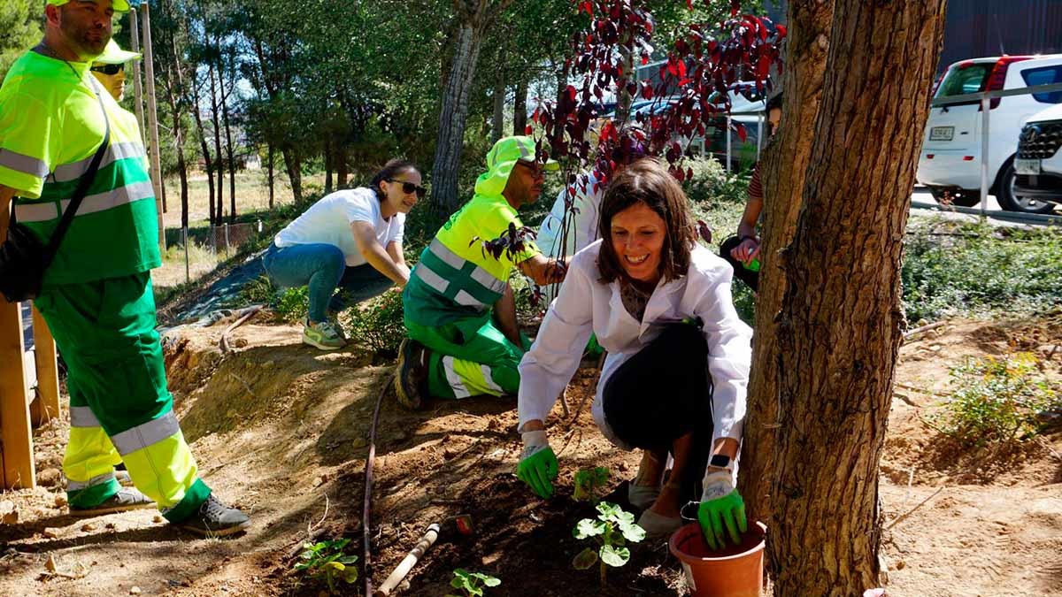 Plantación en el entorno del circuito saludable del Hospital Reina Sofía de Tudela