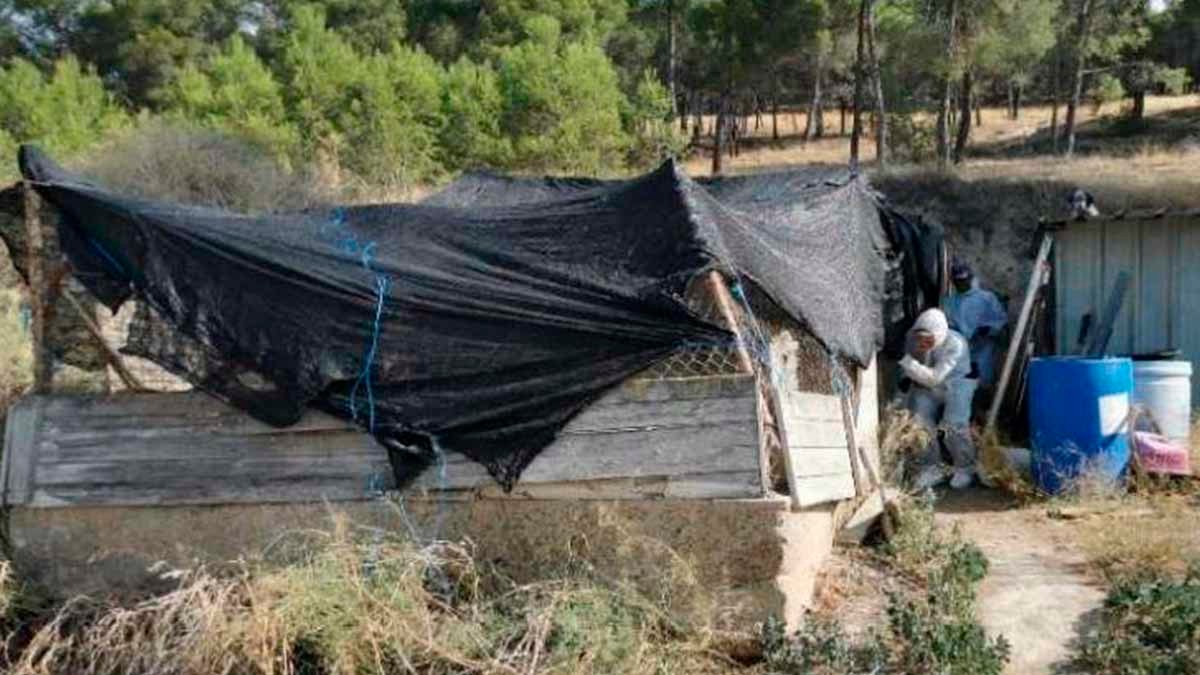 perrera en malas condiciones higiénico-sanitarias3