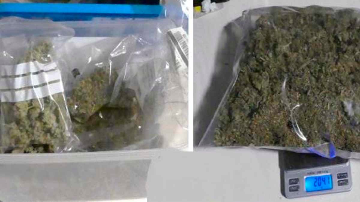 drogas marihuana castejón